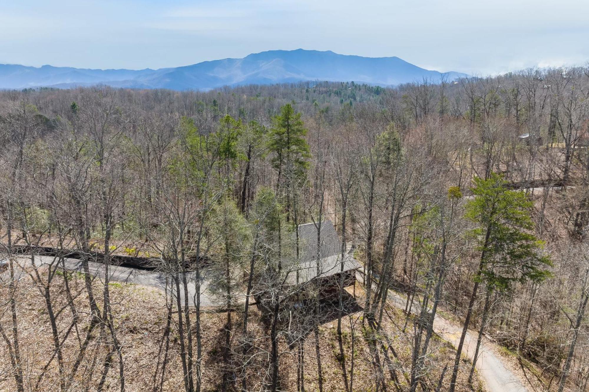 Dudley II By Avantstay Comfortable Cabin W Hot Tub Views Pigeon Forge Exteriér fotografie